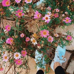 Meet your Posher, Riley